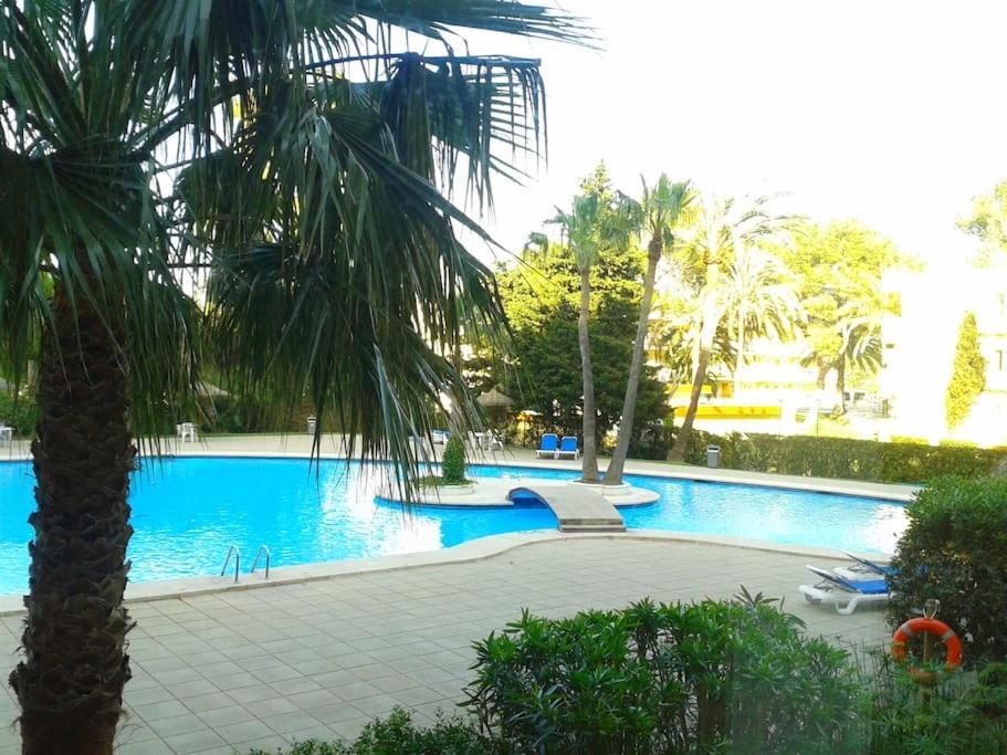 Appartement Piso Moderno Con Piscina Siesta 2 à Port d'Alcúdia Extérieur photo