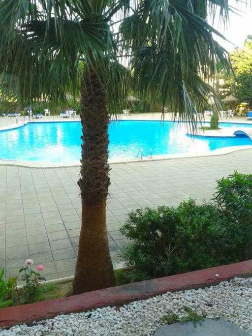 Appartement Piso Moderno Con Piscina Siesta 2 à Port d'Alcúdia Extérieur photo